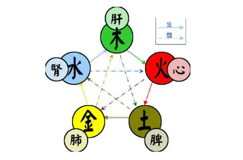 五行 花|五行（对万事万物的取象比类）